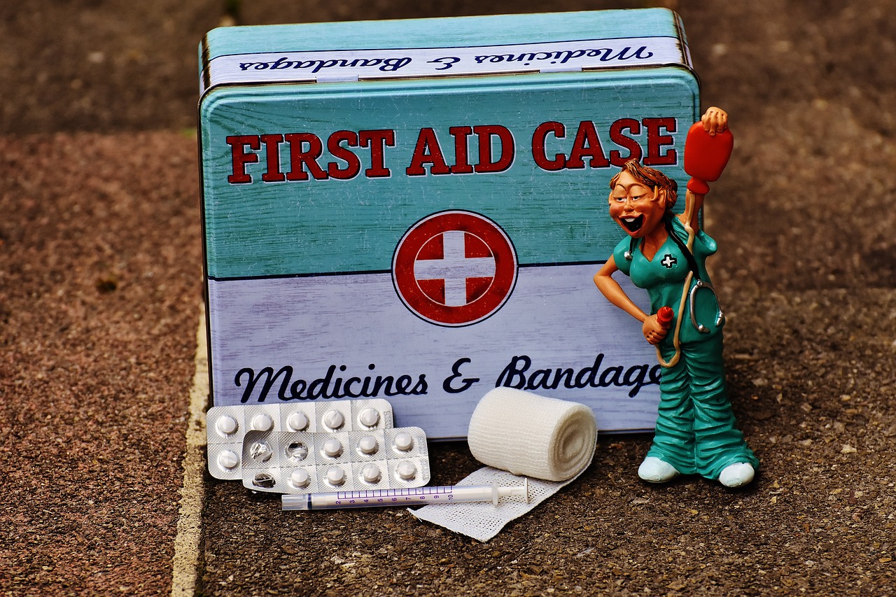 First Aid for Cuts - When to Seek Veterinary Care